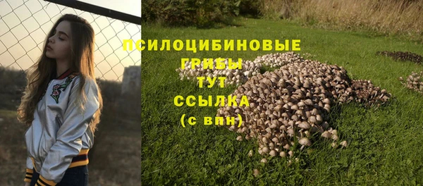 Альфа ПВП Алзамай