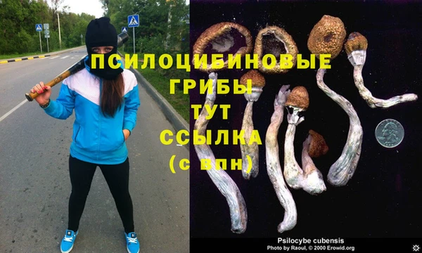 шишки Алексин
