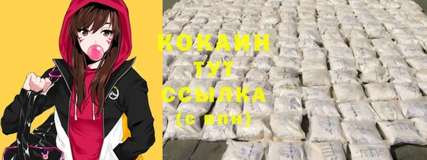 шишки Алексин
