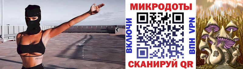 Галлюциногенные грибы Cubensis  Урай 