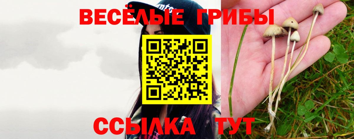 Псилоцибиновые грибы мухоморы Урай